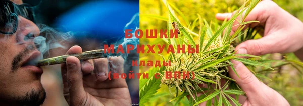 метадон Алексин