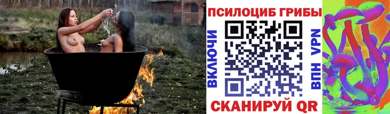 blacksprut ссылка  Выкса  Псилоцибиновые грибы GOLDEN TEACHER 
